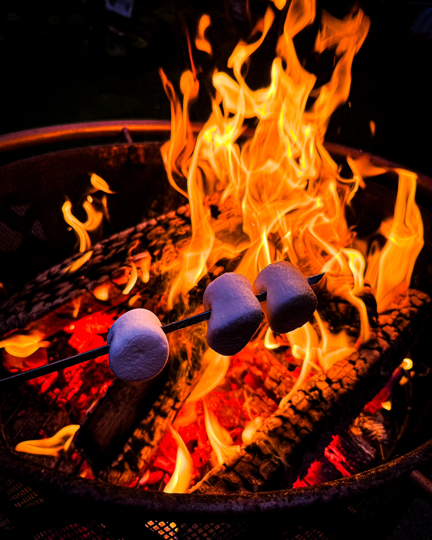 Kiln-Dried Hardwood Firewood